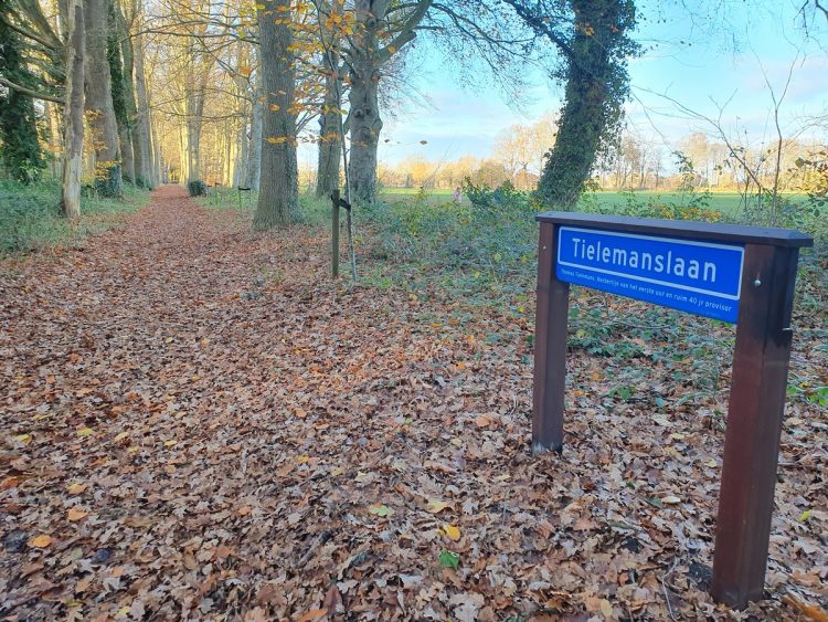 Herinnering aan Thomas Tielemans