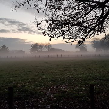 “Er valt hier niets te halen!”