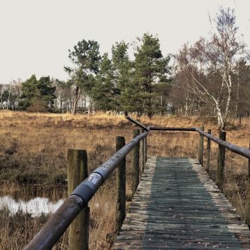 Jouw foto op de cover van inBoekel Nieuwsblad?