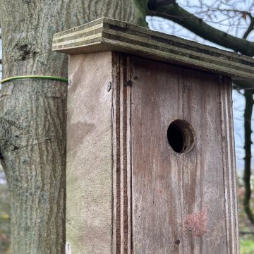 Tijd om vogelkastjes te hangen