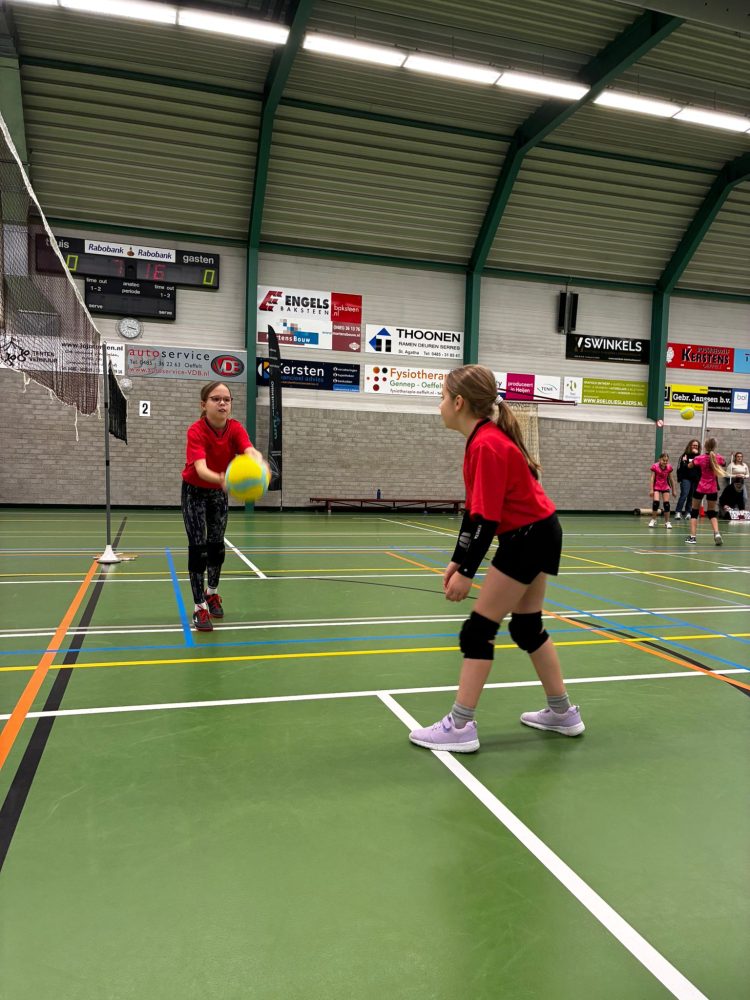 Succes voor Volleystars in Oeffelt!