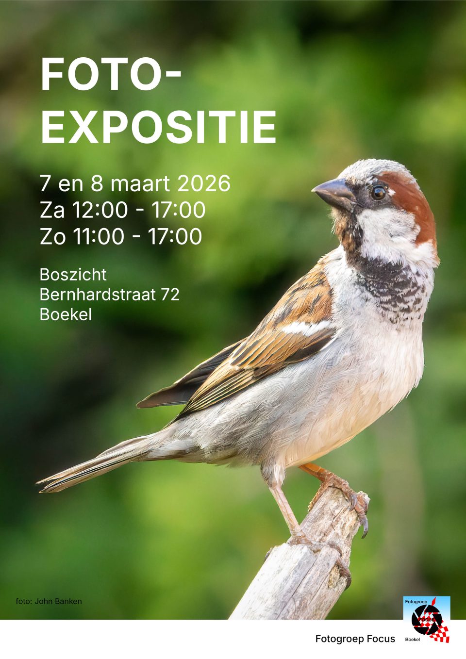 Foto-expositie Fotogroep Focus Boekel