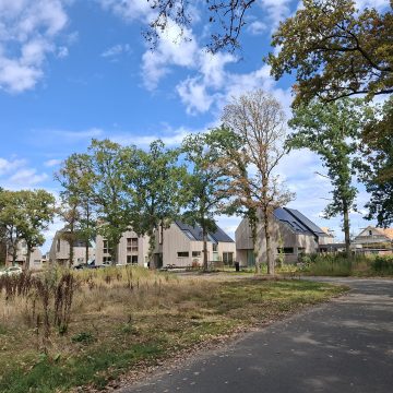 Planning afwerking openbare ruimte Burgt fase 1