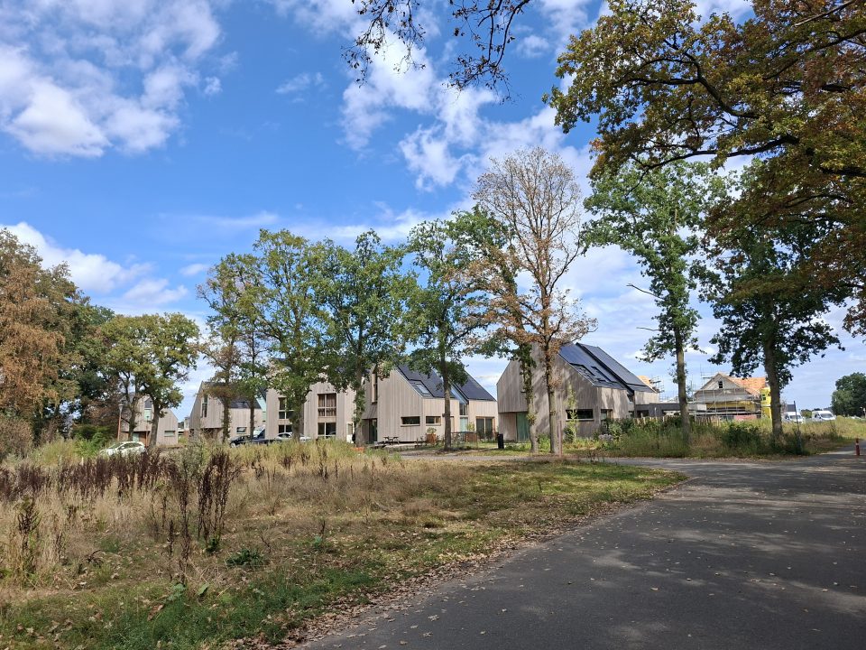 Planning afwerking openbare ruimte Burgt fase 1