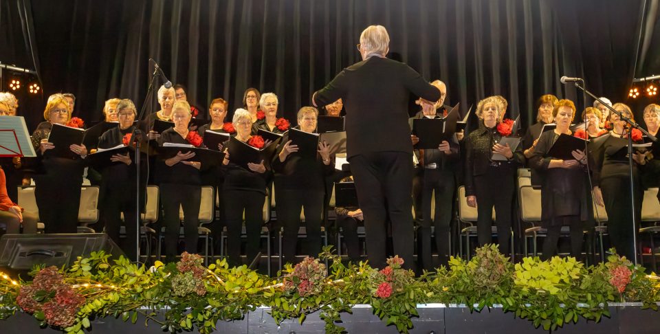 Wie durft! Meezingen bij Koor Alegria?