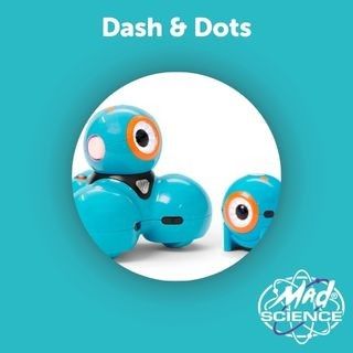 Workshop Dash & Dots