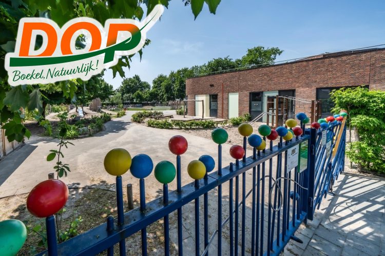 DOP: onderwijs kan niet wachten