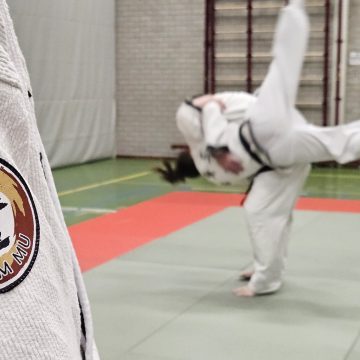 Nieuw in Boekel!  Hanmudo/Hapkido bij Shim Mu.