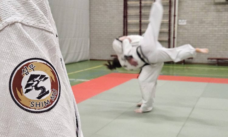 Nieuw in Boekel!  Hanmudo/Hapkido bij Shim Mu.