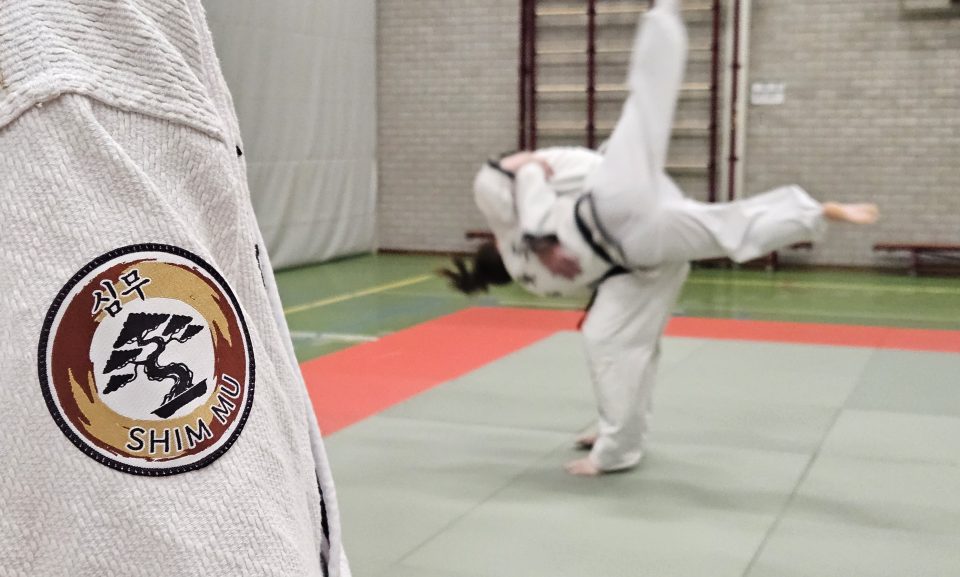 Nieuw in Boekel! Hanmudo/Hapkido bij Shim Mu.