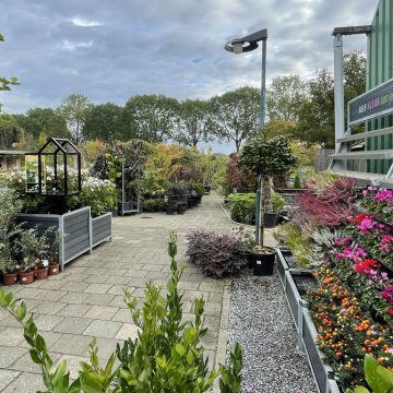 Maak kennis met: Tuincentrum van de Hulsbeek in Wanroij