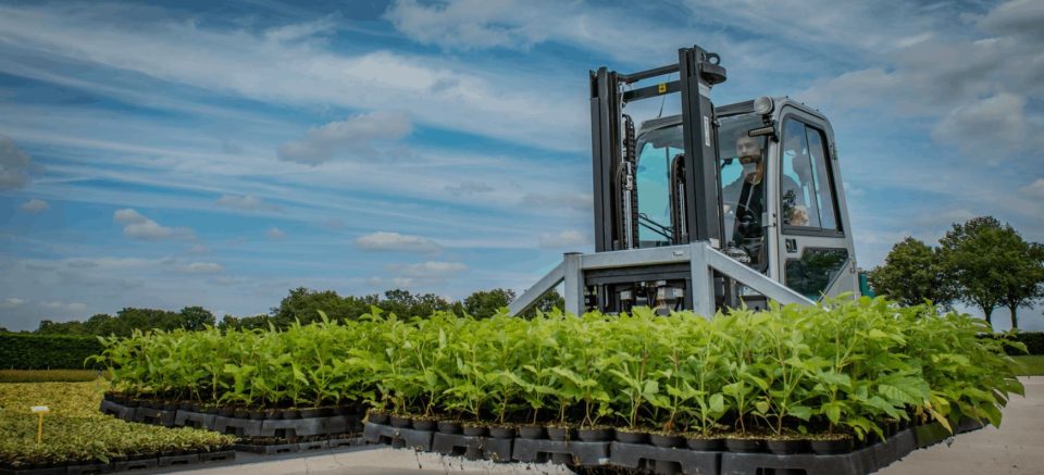 Bloemen Young Plants zoek productiemedewerker Planten & Logistiek