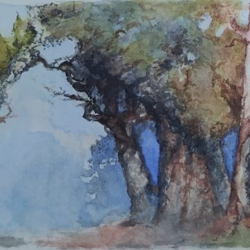 Expositie Hanny Verbrugge en cursisten