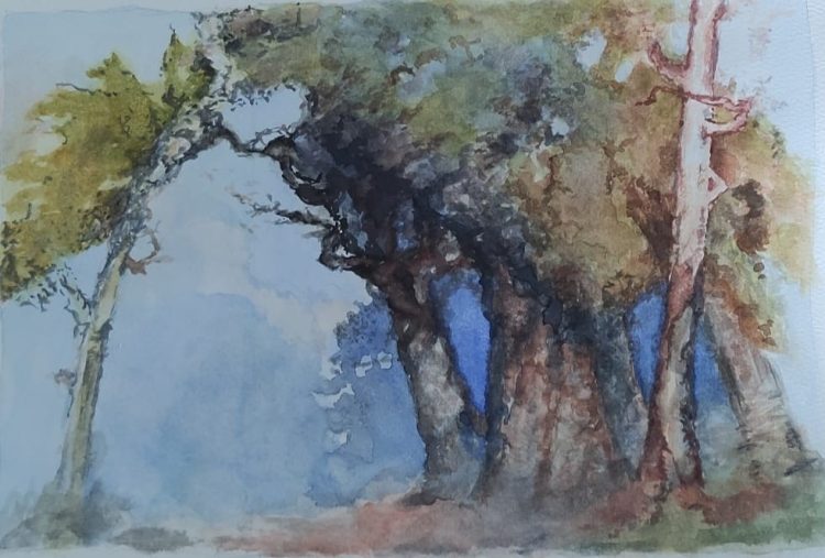 Expositie Hanny Verbrugge en cursisten