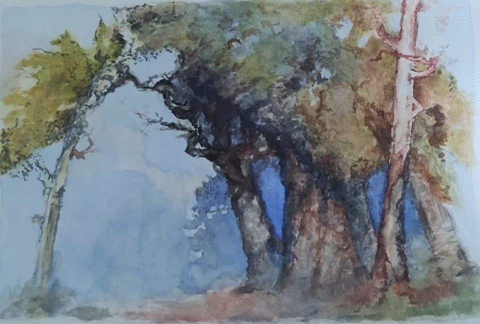 Expositie Hanny Verbrugge en cursisten