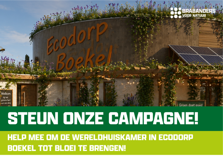 Ecodorp Boekel start crowdfunding voor groene buitenruimte Wereldhuiskamer