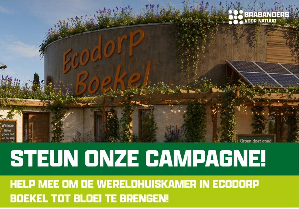 Ecodorp Boekel start crowdfunding voor groene buitenruimte Wereldhuiskamer