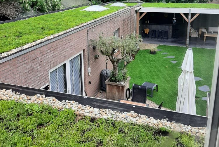 Boekelse Inspiratietuinen: Marcels tips voor regenwateropvang