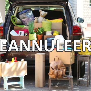 GEANNULEERD: Heel De Vlonder Vlooit