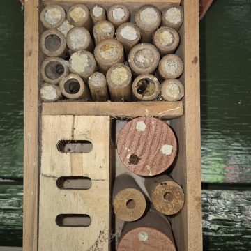 Natuur in het Kabouterbos